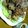 ﾒﾛﾝﾊﾟﾝω｀'s cooksnap of when they made 揚げ鶏のみそマヨソースがけ.