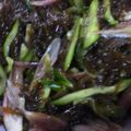 はっぴーはりぼ's cooksnap of when they made もずく酢★.