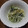 Machalin's cooksnap of when they made 水菜としらすのサッと炒め.