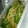 料理苦手kuu's cooksnap of when they made ちょっと刺激的♪なもやしピーマン.