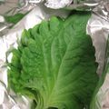 ハリハリ戦士's cooksnap of when they made 大葉の保存方.