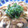 SETSUーRENT's cooksnap of when they made いかときのこのコチュあん～卵とじ～.