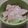 ちゃわっと's cooksnap of when they made 白菜とハムのゴマドレサラダ♪♫♬.