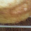 ｍｅｅ＊'s cooksnap of when they made イチゴの誕生日ケーキ.