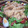 みぃたぁぁん's cooksnap of when they made ササミのサクっ♪コチュマヨ和え＊.