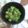 Raiｒeo's cooksnap of when they made ★おくらのサッパリごまウマっ★.