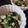 shimaru's cooksnap of when they made ∮ 豆腐の✰ネバネバ✰納豆和え ∮.