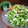 jun坊's cooksnap of when they made マヨネーズを使わないゴーヤのサラダ.