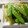 maruru-nn's cooksnap of when they made きぬさやと新ジャガのしゃきしゃき炒め.