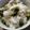 maruru-nn's cooksnap of when they made 簡単！子供も大好きわかめご飯.