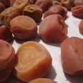 ibucyacya's cooksnap of when they made 梅干し漬けの記録　塩分12％.
