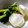 あおいりん's cooksnap of when they made 《簡単》かぶの浅漬け.