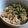 kisaragicats's cooksnap of when they made 高野豆腐と卵のふんわりそぼろ丼.