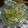 hasu19's cooksnap of when they made ゴーヤとシーチキンのさっぱりマヨ和え.