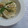 junyoujun's cooksnap of when they made ささげとごぼうのマヨごま和え*.