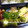 yukiはぴ's cooksnap of when they made ピーマンと人参のちょいエスニック和え.