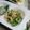 ＴＯＭＯＷＡＴ's cooksnap of when they made さっぱり♪ゴーヤとささ身のゴマポン和え.
