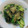 ゆりYO船長's cooksnap of when they made きゅうりの梅和え.