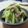 えみんちゅ＊'s cooksnap of when they made ✿ジェノバポテトの生ハム和え✿.