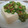 ひまわりんりんりん's cooksnap of when they made 簡単！オクラの梅和え.