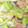 まぁ☆ﾐ's cooksnap of when they made キャベツのゆず胡椒炒め.