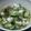 ぐりtoぐら's cooksnap of when they made 夏に食べたいお漬物！　～山形の「だし」～.