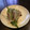 Ｐ子ママ's cooksnap of when they made 超簡単付け合せ！さやいんげんに生ハムを。.