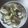 とまともこ's cooksnap of when they made はまぐりの酒蒸し（ガーリックバター風味）.