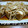 ゆみ‘ｓカフェ's cooksnap of when they made 厚揚げステーキえのきソース.
