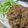 じんとっと's cooksnap of when they made 夏に食べたい！ジャージャーうどん.