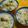 Cookingmam's cooksnap of when they made 枝豆ご飯☆だだちゃ豆で♪.