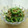月見なっとう's cooksnap of when they made ゴーヤ、鶏ささみ、ザーサイの和え物.