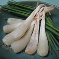 みそじーさん's cooksnap of when they made ほくほく！エシャロットのシンプル焼き.