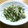 ねっちゃんっ's cooksnap of when they made 簡単☆早い　かいわれのおかか和え.