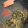 さぁーーこ's cooksnap of when they made ご飯・おにぎり・肴に「しそ・ねぎ・味噌」.