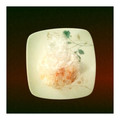 salymama's cooksnap of when they made 鮭マヨおにぎり.