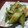 ましゅまろcocoa's cooksnap of when they made きゅうりの梅おかか和え.