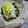 いずみるく's cooksnap of when they made ✿揚げ茄子の大根・生姜添え.