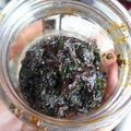 katachan's cooksnap of when they made ご飯が進むよ　シソ味噌.