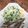 よちりん's cooksnap of when they made 千切りキャベツに大葉♪.