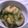 グリヤマｊｒ's cooksnap of when they made ゴーヤのおひたし☆かつお風味.