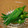 ちょしちょし's cooksnap of when they made オクラの白だし漬け.