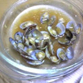 tmyk's cooksnap of when they made あさりの酒蒸し★にんにくしょうゆ風味.