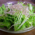 nabeko44kazu's cooksnap of when they made 水菜とジャコの簡単サラダ.