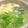 papikun's cooksnap of when they made ウチの湯豆腐.