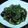 ちべターリー's cooksnap of when they made 揚げ茄子と焼きシイタケの香味だれ❀.