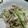 なおき♪'s cooksnap of when they made イカとアスパラの梅マヨサラダ.
