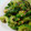 mmameco's cooksnap of when they made 簡単！ゴーヤの塩昆布和え.