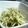 若鬼嫁あきちゃん's cooksnap of when they made みょうがの味噌マヨ和え.