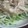 PEPE Ｔ's cooksnap of when they made ささみで作るなんちゃって棒棒鶏.